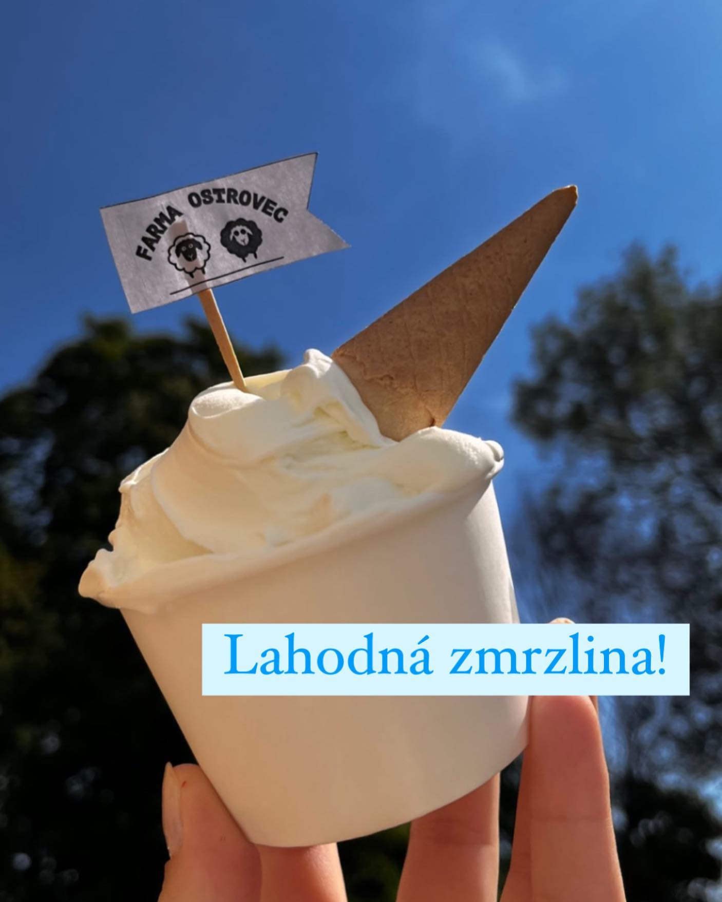 Zmrzlina farma ostrovec